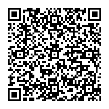 vCard 79236220289