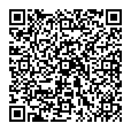 vCard 79236220497