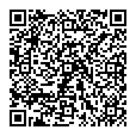 vCard 79236221314