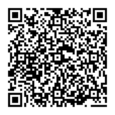 vCard 79236221383