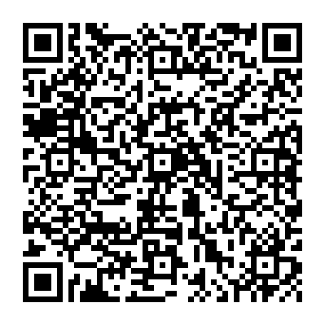 vCard 79236221398
