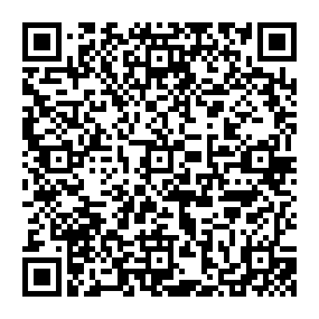 vCard 79236221633