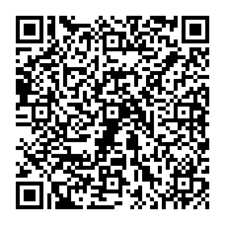 vCard 79236222079