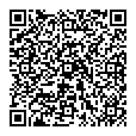 vCard 79236222081