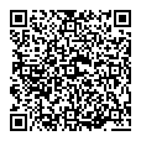vCard 79236222407