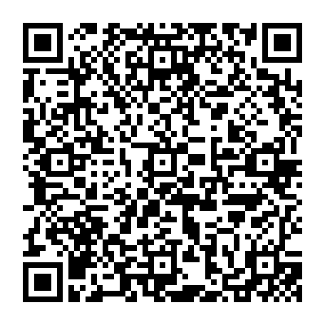 vCard 79236223204