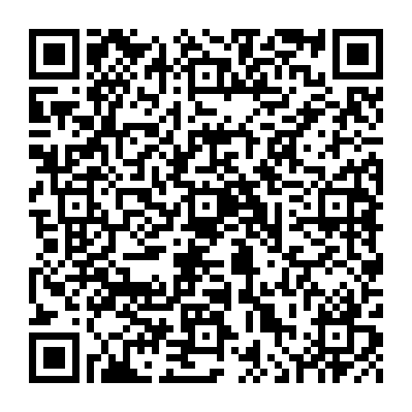 vCard 79236250009