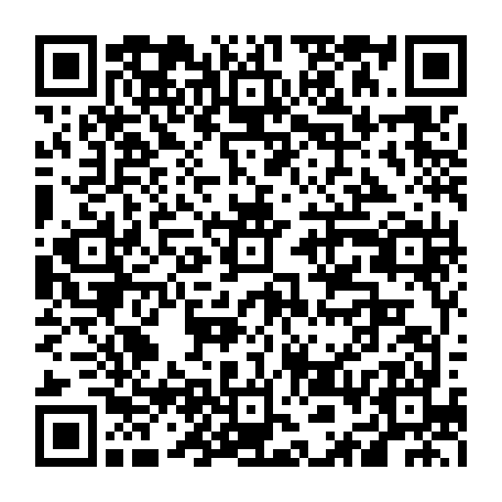 vCard 79236250013