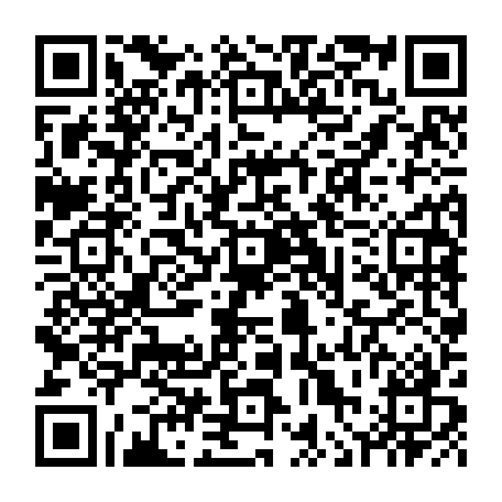 vCard 79236251459