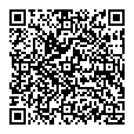 vCard 79236270003