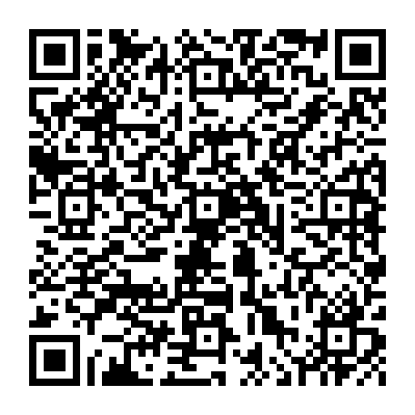 vCard 79236273375