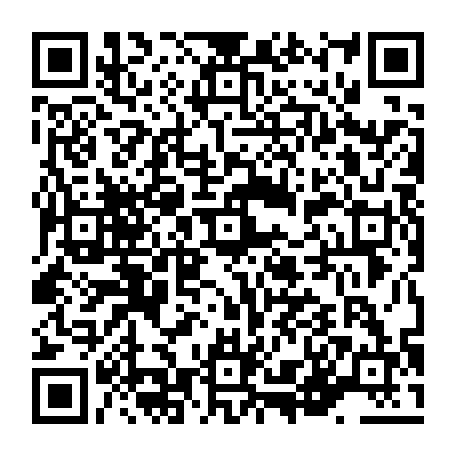vCard 79236273589