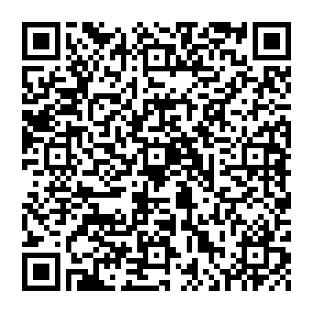 vCard 79236274037