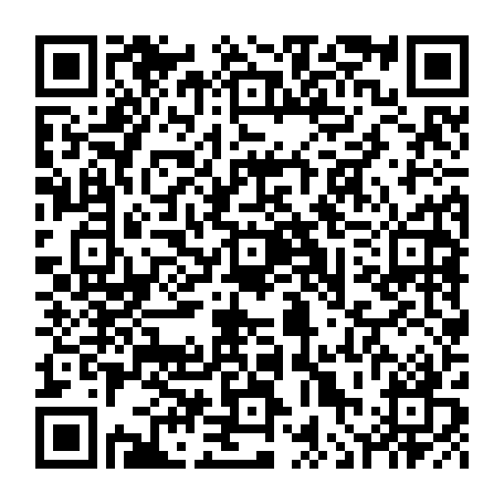 vCard 79236280317