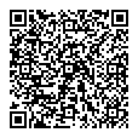 vCard 79236300403