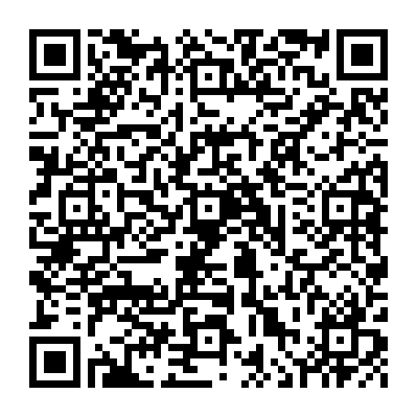 vCard 79236300513