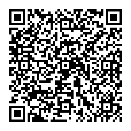 vCard 79236300545