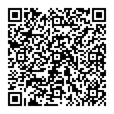 vCard 79236300894