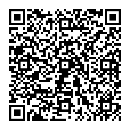 vCard 79236301331