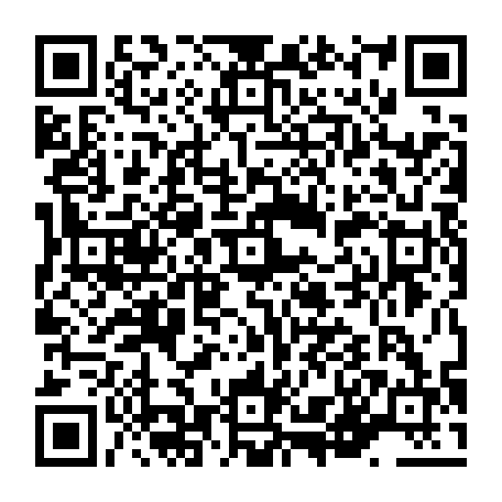 vCard 79236307473
