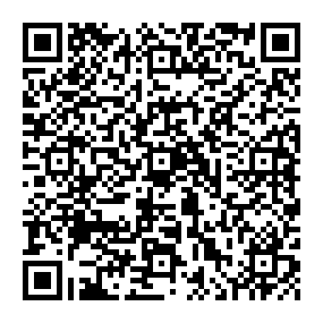 vCard 79236308433