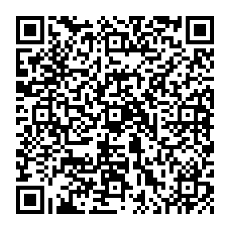 vCard 79236311333
