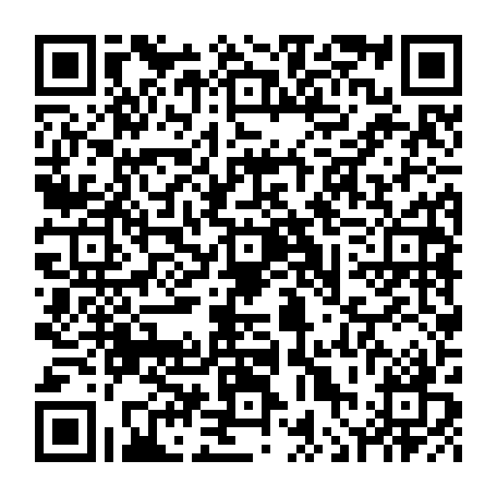 vCard 79236311339