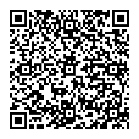 vCard 79236313017