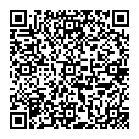 vCard 79236313133