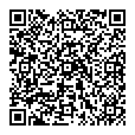 vCard 79236313252