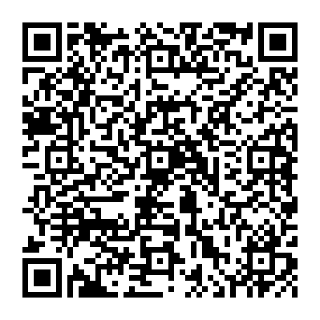 vCard 79236313303
