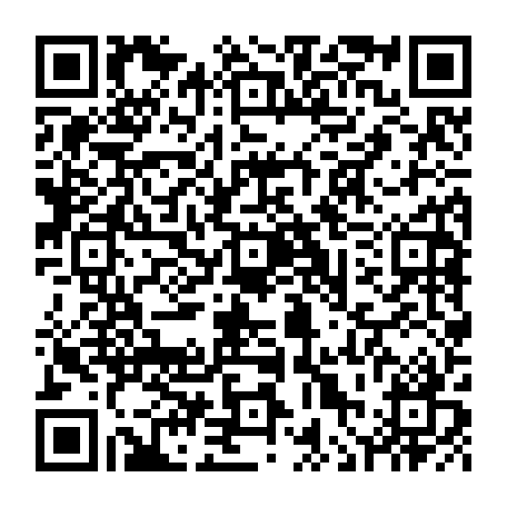 vCard 79236313325