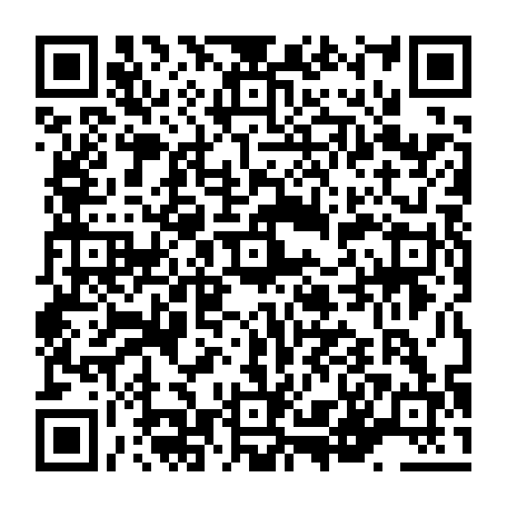 vCard 79236313329