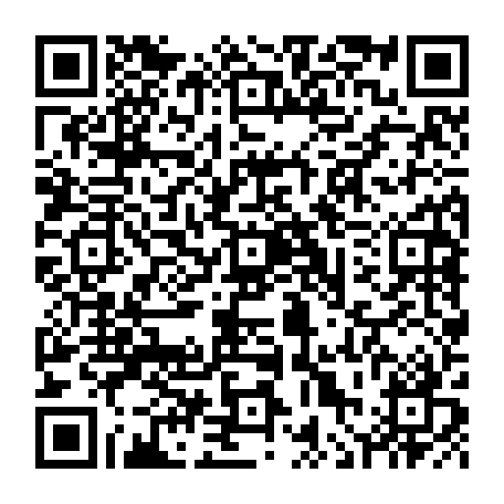 vCard 79236313354
