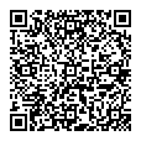vCard 79236313373