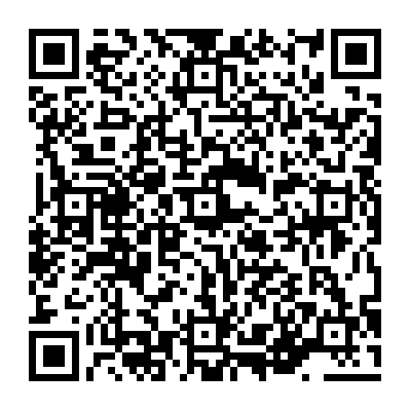 vCard 79236313379