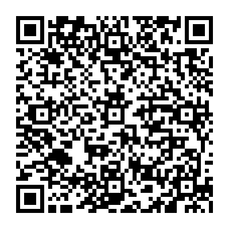 vCard 79236313385