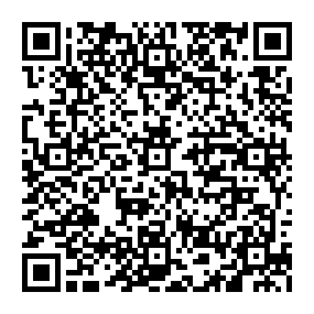 vCard 79236313388
