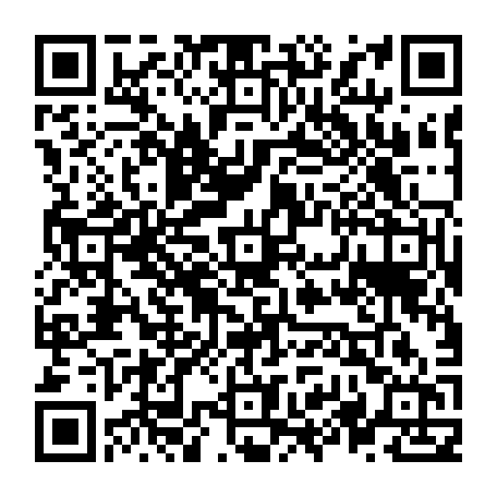 vCard 79236313389
