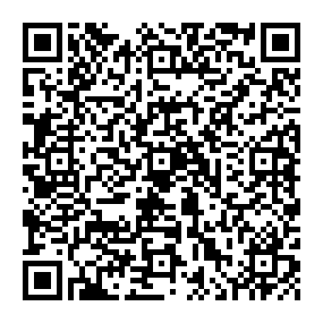 vCard 79236313393