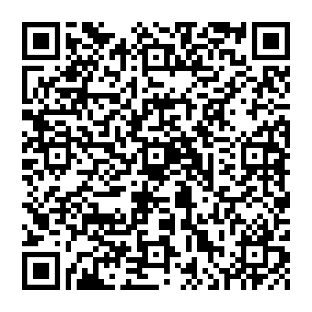 vCard 79236313401