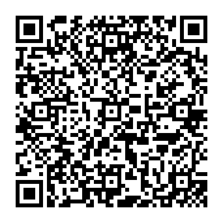 vCard 79236313403