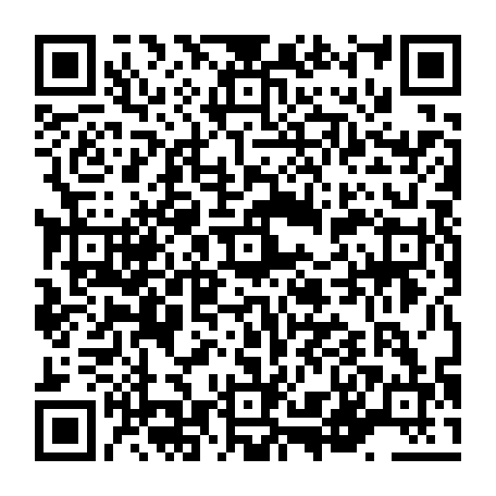 vCard 79236313447