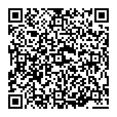 vCard 79236313461