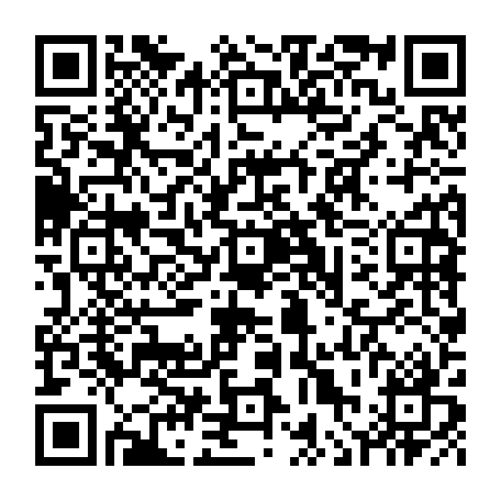 vCard 79236313481