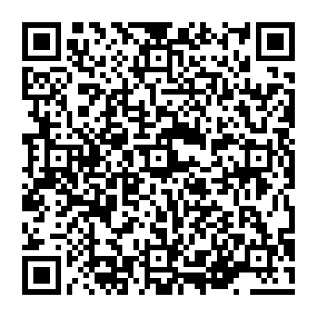 vCard 79236313487