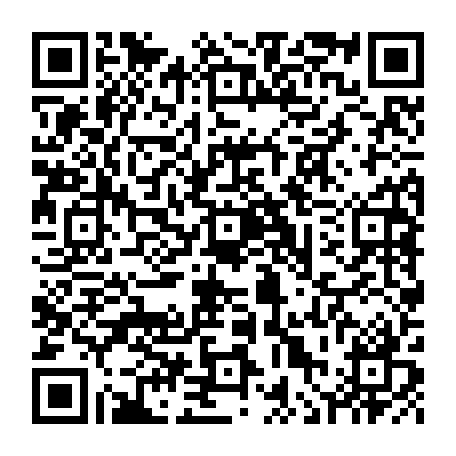 vCard 79236313517
