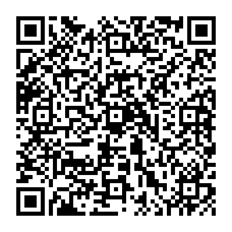 vCard 79236313533