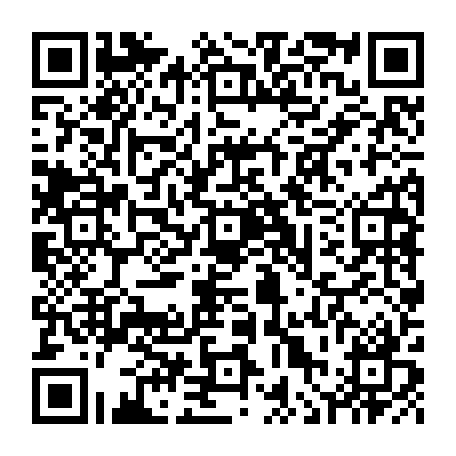 vCard 79236313541
