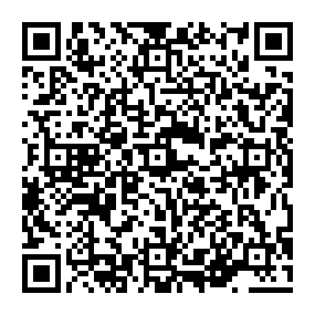 vCard 79236313579